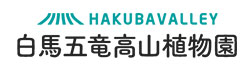 白馬五竜高山植物園