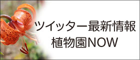 公式ブログ 公式ブログ