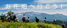 お知らせ お知らせ
