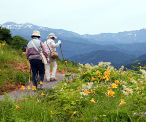白山高山植物園